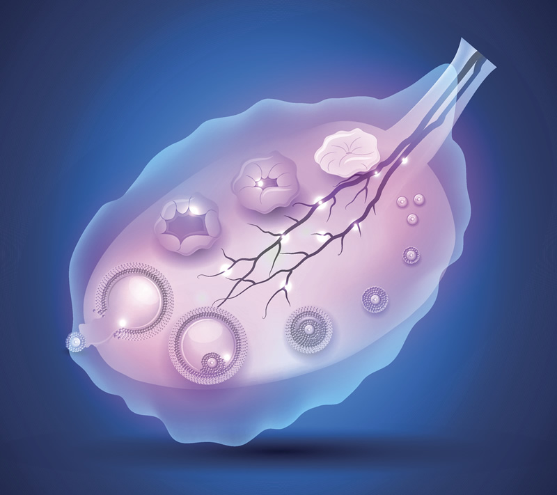 天津三代试管助孕医院排行前三强揭晓：中心妇产、总医院生殖中心领跑，附私立机构与费用解析